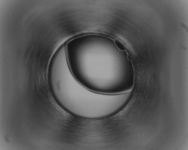 X0000092240884200709141001
