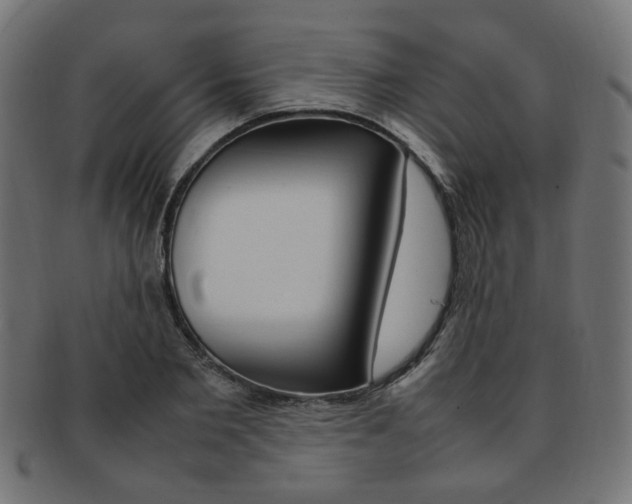 X0000092240885200709141001