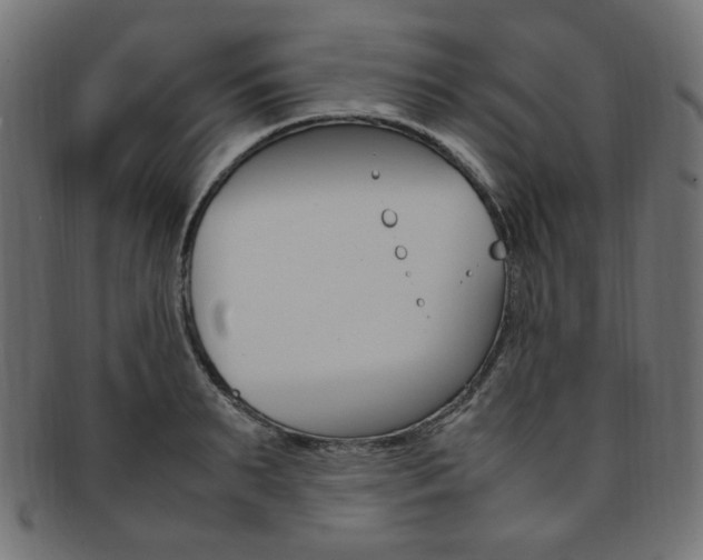 X0000092240895200709141001
