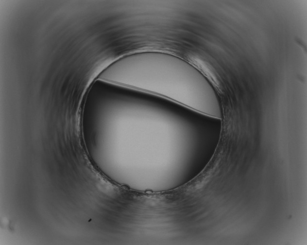 X0000092240900200709141001