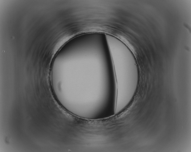 X0000092240901200709141001