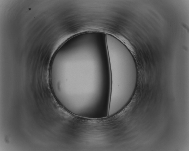 X0000092240904200709141001