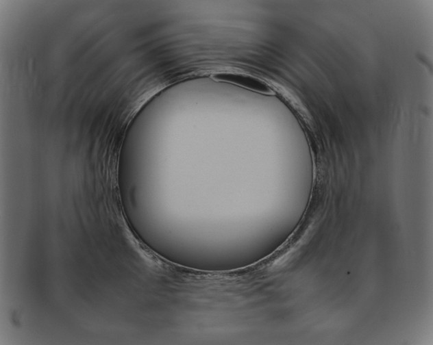 X0000092240905200709141001