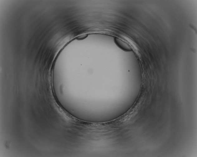 X0000092240907200709141001