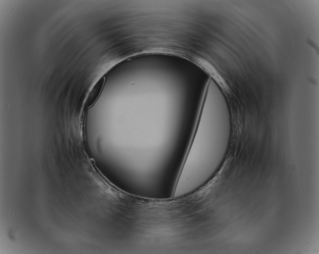 X0000092240908200709141001