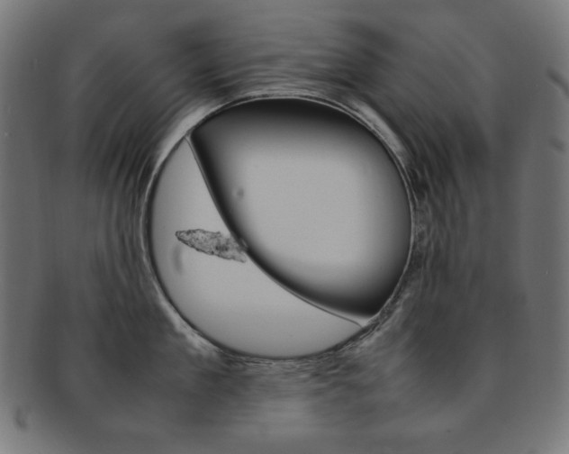 X0000092240909200709141001