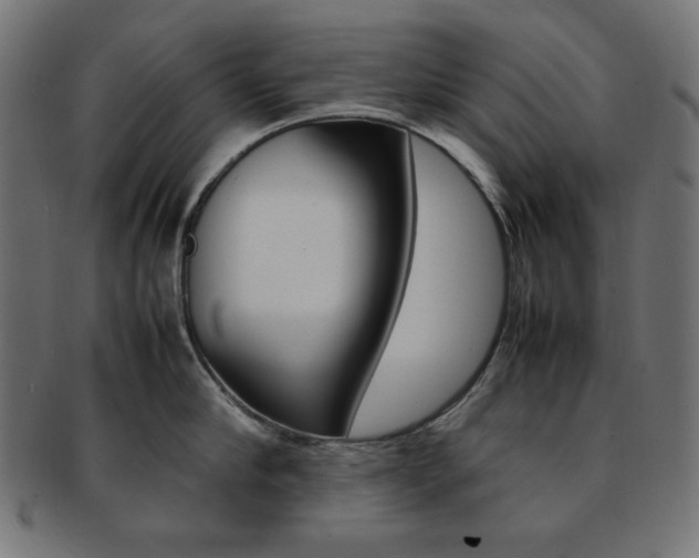 X0000092240910200709141001