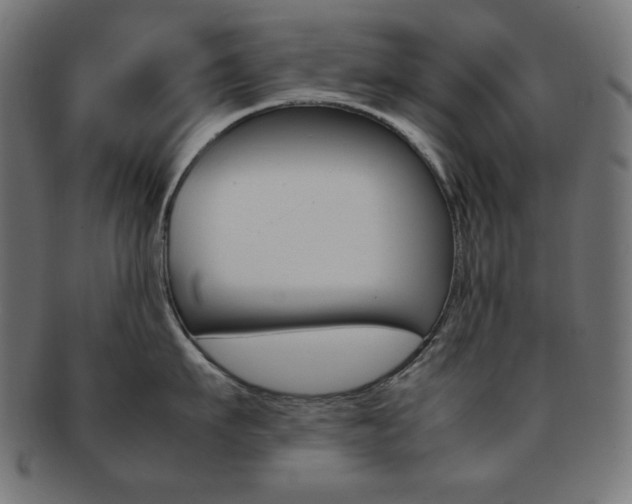 X0000092240911200709141001