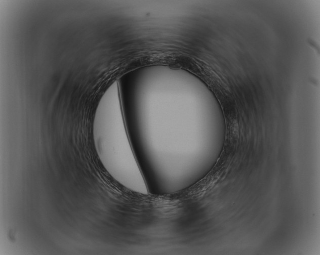 X0000092240914200709141000