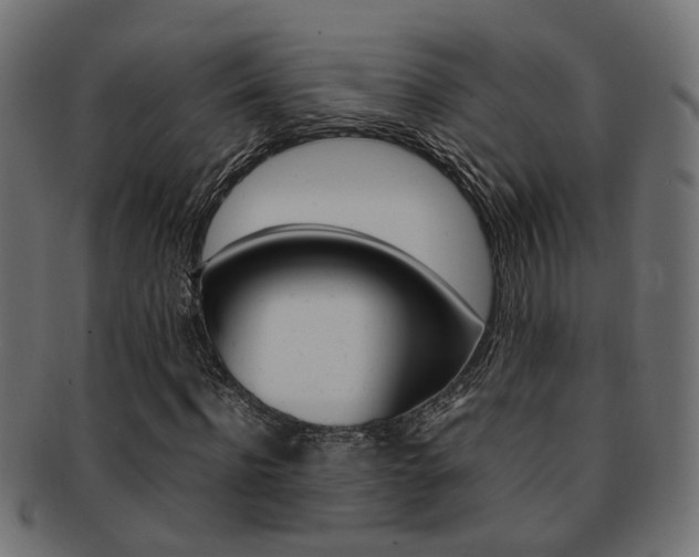 X0000092240916200709141000