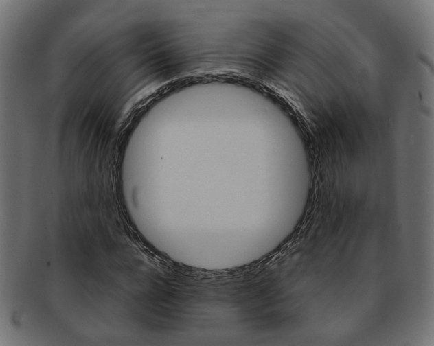 X0000092240920200709141000