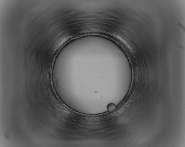 X0000092240921200709141000