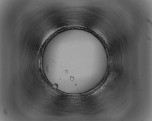 X0000092240925200709141000