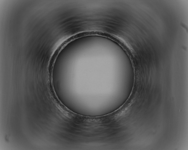 X0000092240927200709141000