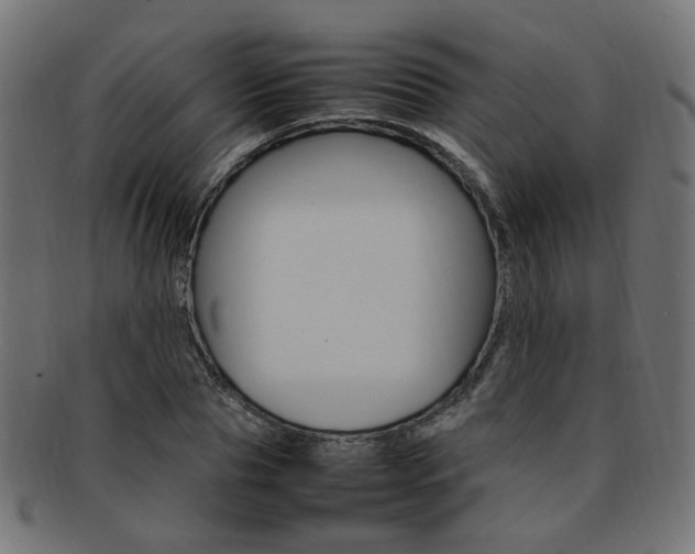 X0000092240929200709141000