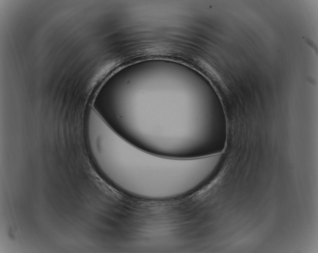 X0000092240930200709141000