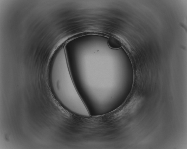X0000092240931200709141000