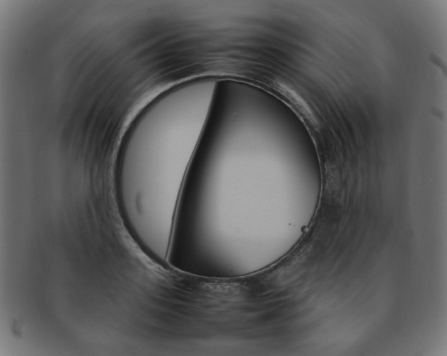X0000092240939200709141000