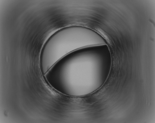 X0000092240940200709141000