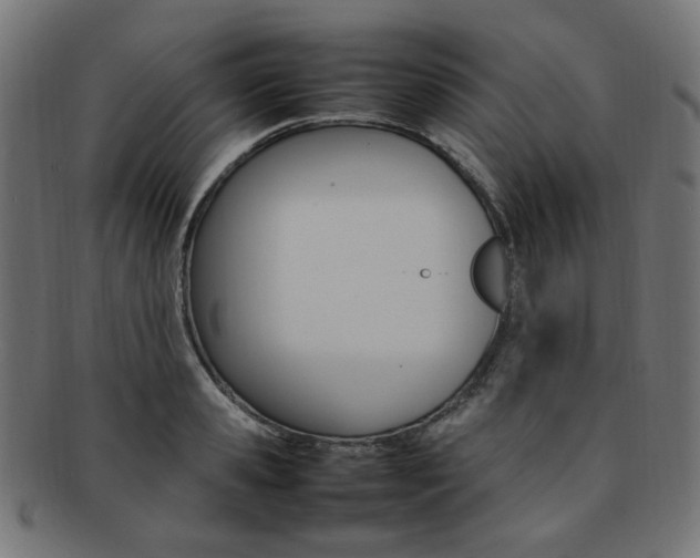 X0000092240941200709141000