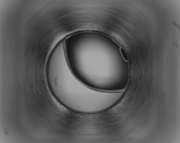 X0000092240942200709141000