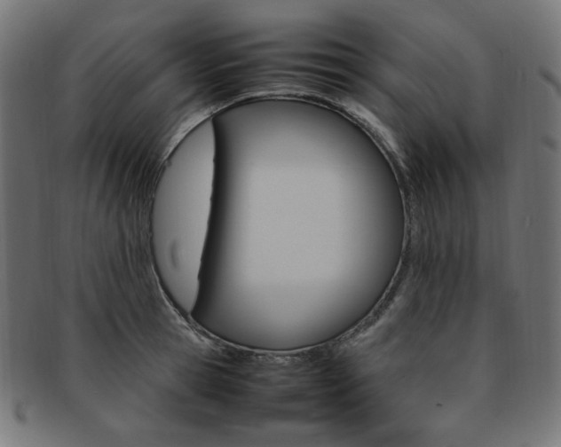 X0000092240945200709141000