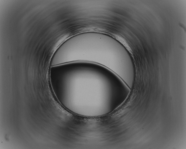X0000092240946200709141000