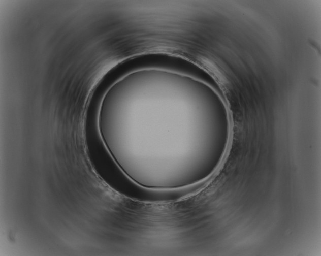 X0000092240948200709141000
