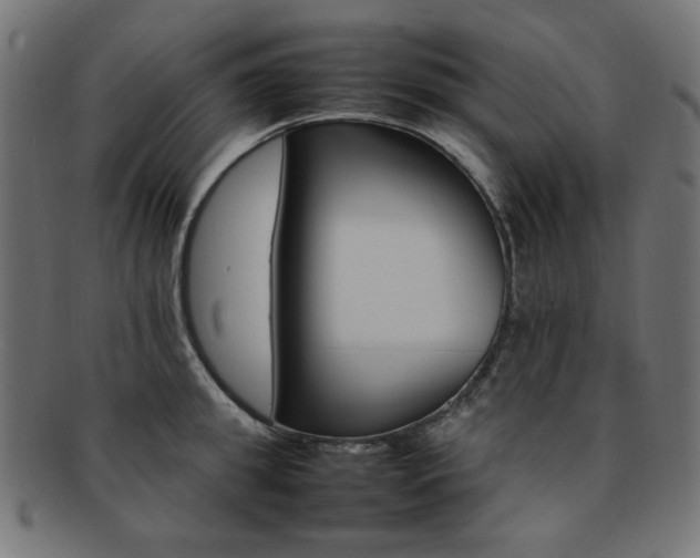 X0000092240949200709141000