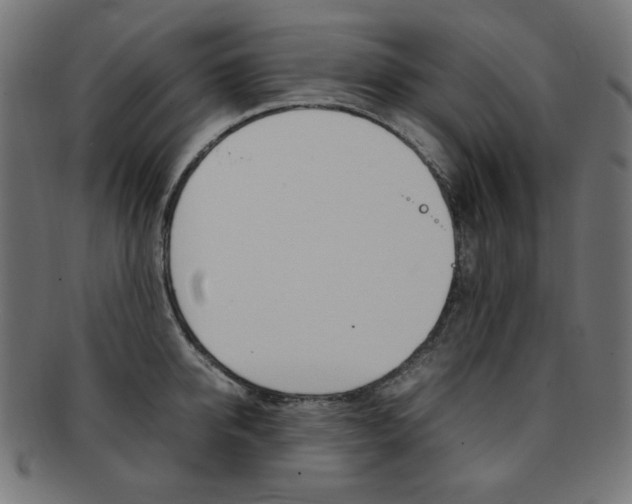 X0000092240950200709141000