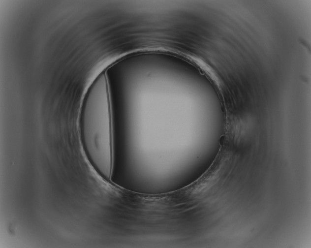 X0000092240951200709141000