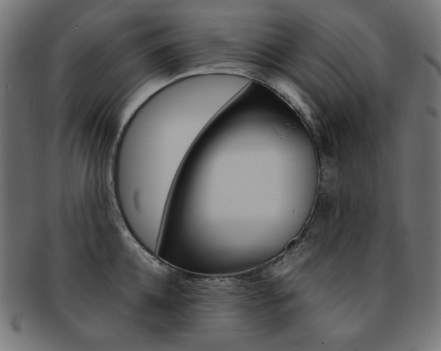 X0000092240952200709141000