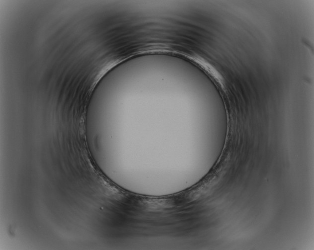 X0000092240953200709141000