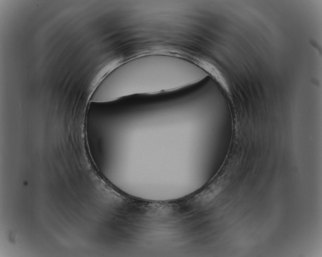 X0000092240954200709141000