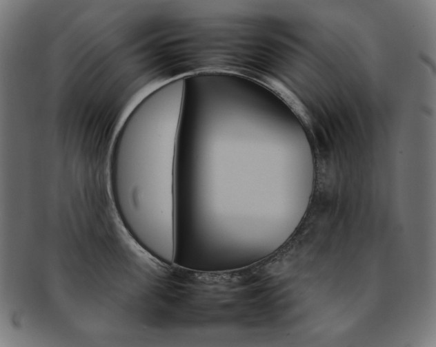X0000092240955200709141001