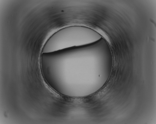X0000092240958200709141001