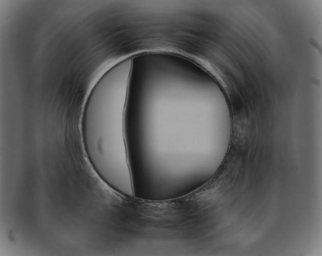 X0000092240959200709141001