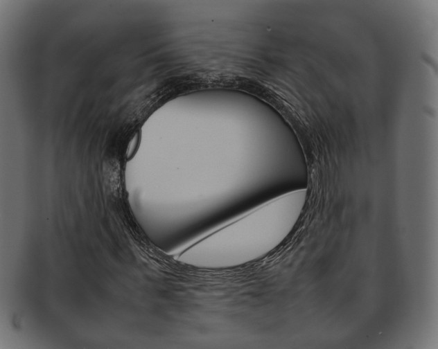 X0000092240963200709141000