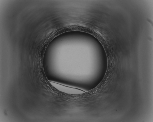 X0000092240965200709141000