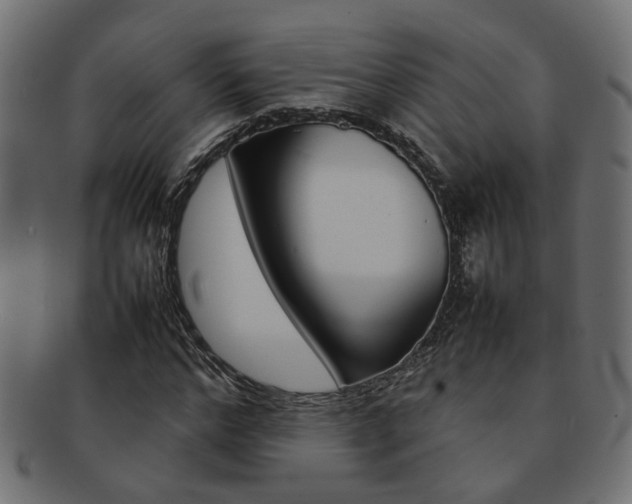 X0000092240968200709141000