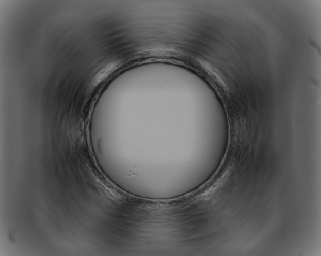 X0000092240970200709141000