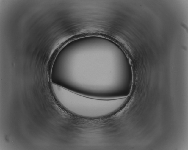 X0000092240973200709141000