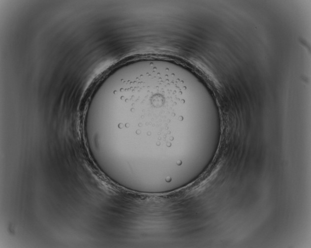 X0000092240974200709141000
