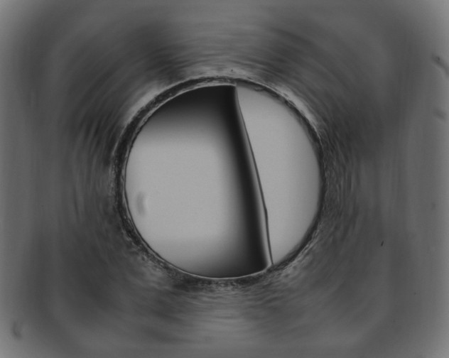 X0000092240975200709141000