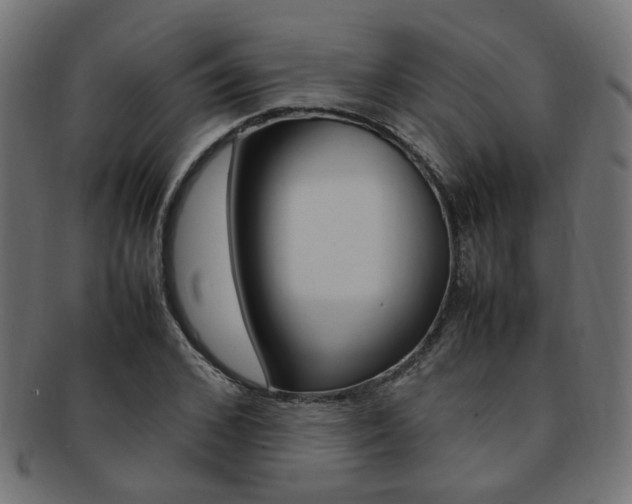 X0000092240976200709141000