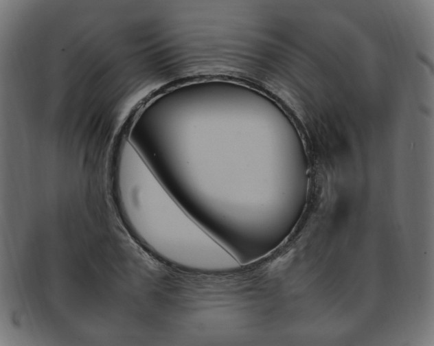 X0000092240979200709141000