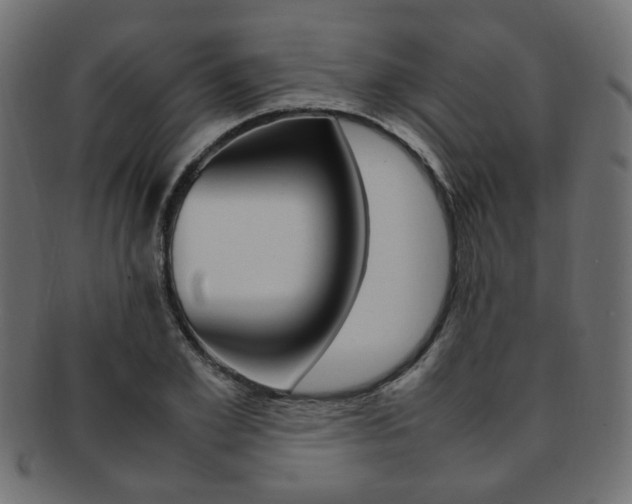 X0000092240981200709140959