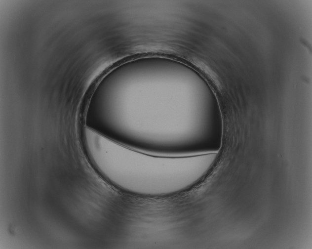 X0000092240983200709140959