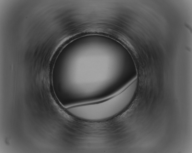 X0000092240984200709140959