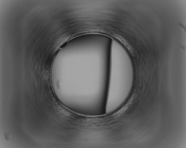 X0000092240985200709140959